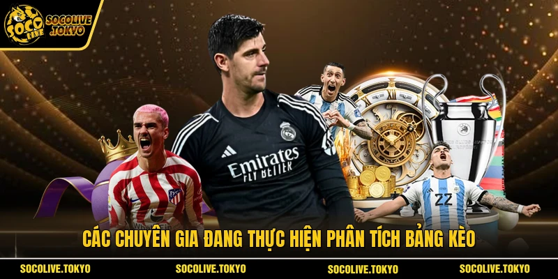 Các chuyên gia đang thực hiện phân tích bảng kèo