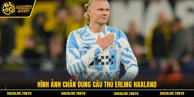 Hình ảnh chân dung cầu thủ Erling Haaland